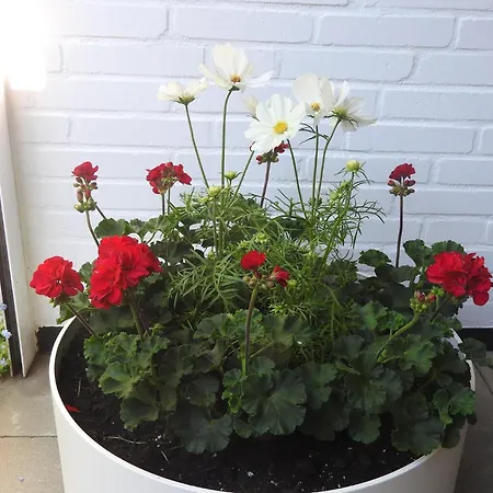 Hohes Ufer Ostseeluft