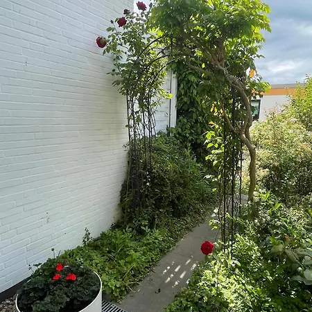 Hohes Ufer Ostseeluft